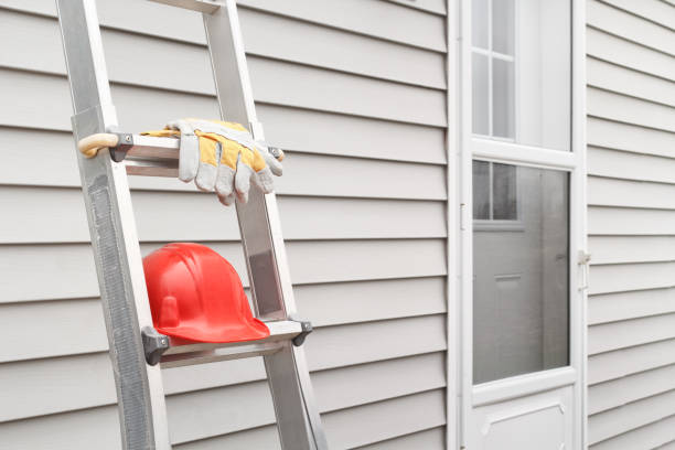 Best Shed Removal  in St Louis, MI