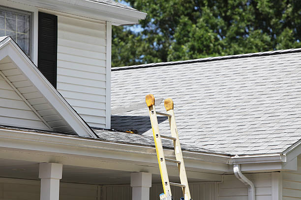 Best Same-Day Junk Removal Services  in St Louis, MI